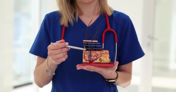 Γυναίκα Trichologist Γιατρός Κατέχει Πλαστικό Μοντέλο Της Δομής Του Δέρματος — Αρχείο Βίντεο