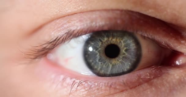 Närbild Kvinna Med Vackra Grå Gröna Blå Ögon Korrigering För — Stockvideo