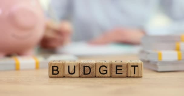 Personne Rédige Des Rapports Financiers Planifie Son Budget Affaires Plan — Video