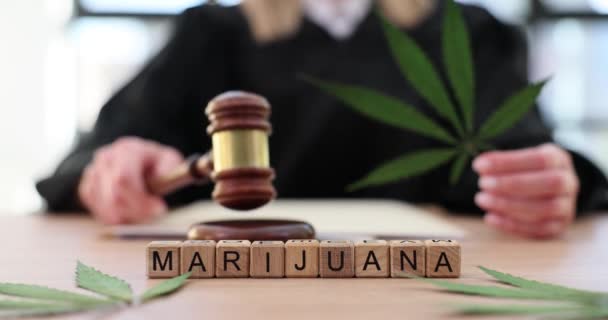 Yargıç Yeşil Marihuana Yaprağını Mahkeme Salonunda Tutuyor Kenevir Mahkemenin Yasal — Stok video