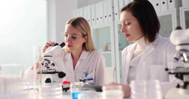 Dwóch Udanych Chemików Pracujących Laboratorium Bada Eksperymenty Pod Mikroskopem Trzyma — Wideo stockowe