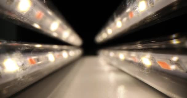 Экономичные Люминесцентные Лампы Светятся Маленькими Диодами Внутри Освещенного Прохода Посередине — стоковое видео