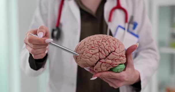 Neurolog Visar Mänsklig Hjärnmodell Klinikens Kontor Kvinnlig Läkare Visar Skadad — Stockvideo