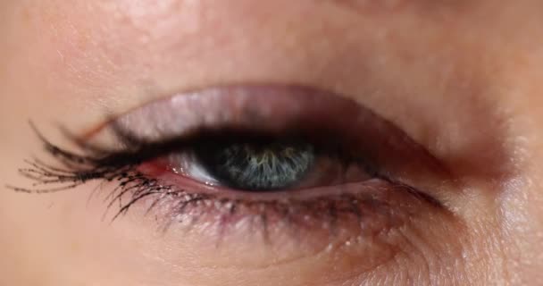 Primer Plano Pupila Azul Gris Ojo Humano Miopía Miopía Diagnóstico — Vídeos de Stock