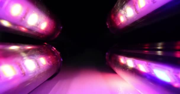 Svítilna Ultrafialovým Světlem Skleníku Ultrafialové Diodové Lampy Recirkulátory Baktericidní Lampy — Stock video