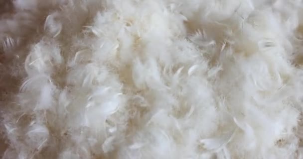 White Feather Filling Pillow Toys Closeup Eco Friendly Natural Material — Stock Video