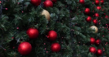 Açık hava Noel ağacının parlak kırmızı toplarıyla süslenmiş yakın çekimi. Mutlu Noeller ve Mutlu Noeller konsepti
