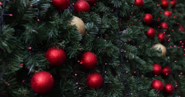 Closeup Festively Decorated Outdoor Christmas Tree Bright Red Balls Merry — Stock Video