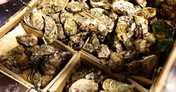 Penutupan Tiram Mentah Segar Konter Konsep Pasar Makanan Laut — Stok Video
