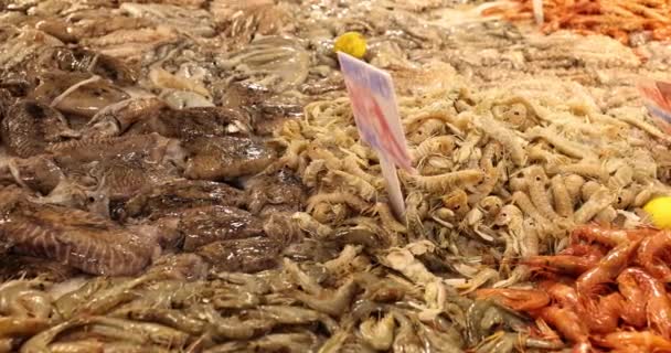 Krewetki Kałamarnice Ośmiornice Wiele Różnych Rodzajów Ryb Lodzie Rynku Koncepcja — Wideo stockowe