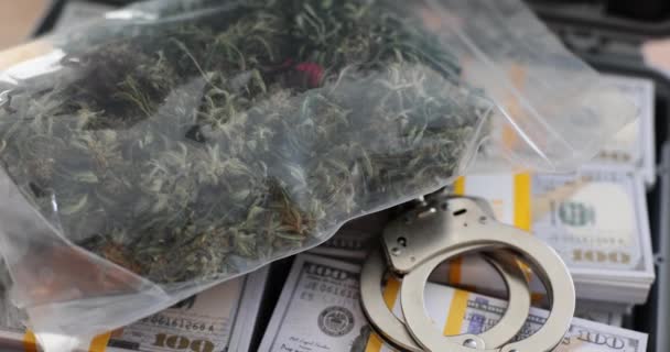 Handboeien Marihuana Tegen Achtergrond Van Amerikaanse Honderd Dollar Biljetten Het — Stockvideo