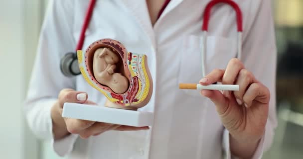 婦人科医は 妊娠中の喫煙の有害な影響についてのタバコ警告を保持しています 妊娠と喫煙について — ストック動画