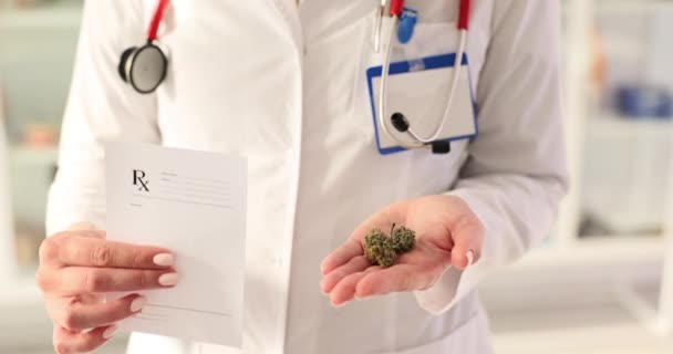 Doktorun Elinde Tıbbi Reçete Marihuana Otu Var Tıbbi Esrarın Yasallaştırılması — Stok video