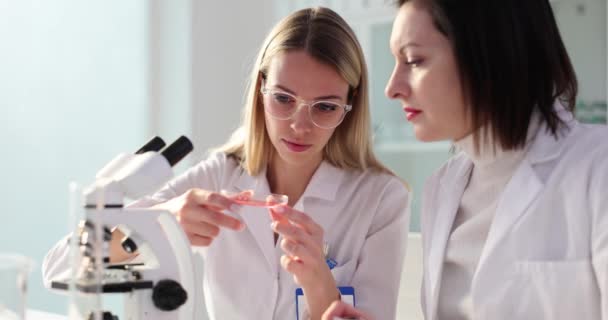 Twee Wetenschappers Analyseren Biotech Chemicaliën Glas Het Laboratorium Ervaring Dichtheid — Stockvideo