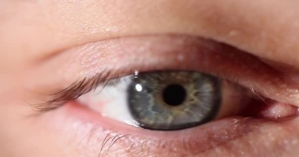Šedomodré Lidské Oko Následuje Pohledem Upřeným Předměty Ženské Oko Pohybuje — Stock video