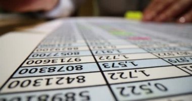 Kadın, hesap tablosu hücrelerinde yavaş çekimde rakamları öne çıkarıyor. Girişimci ofisteki borsa hakkında ticari bilgiler öğrenir. Mali rapor