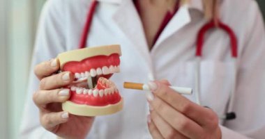 Neşeli doktor yapay çene modeline normal sigara yerleştirir. Kadın dişçi diş minesi renginde sigara içmenin zararlı olduğunu gösteriyor