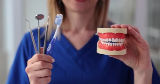 专业牙医持有牙模和牙科工具 微笑的医生用细致的下巴模型慢动作展示牙齿的解剖学特征 — 图库视频影像