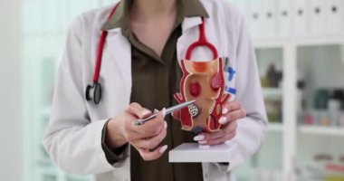 Proktoloğa göre rektum klinikte hemoroit gerçekçi bir model. Kadın doktor hasta randevusunda hastalık riskini göze alır. Sağlık hizmetleri