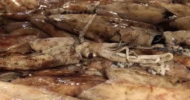 이국적인 요리와 해산물 레스토랑에서 무생물 오징어의 사람들을위한 요리를 준비하기위한 — 비디오