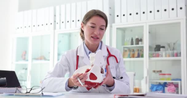 女性の医師は 職場での人工モデルのヒト骨盤の構造を示しています 病院の機能についての女性専門家による身体の一部と説明 — ストック動画