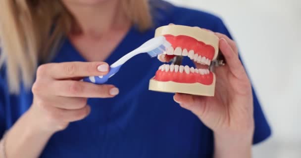 Mujer Dentista Demuestra Técnica Para Limpieza Dientes Utilizando Cepillo Dientes — Vídeos de Stock