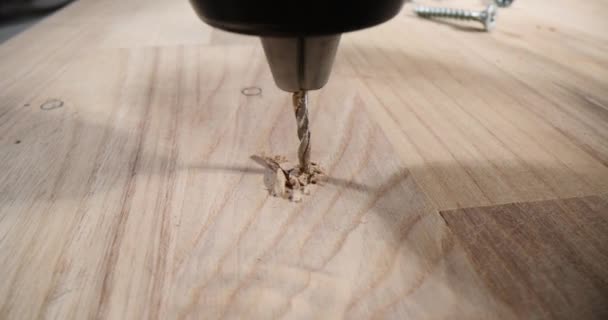 強力なドリルは円形の穴を作成する木製板に浸透します ウッドワーカーの演習は精密な穴あけをするために巧みに訓練します — ストック動画