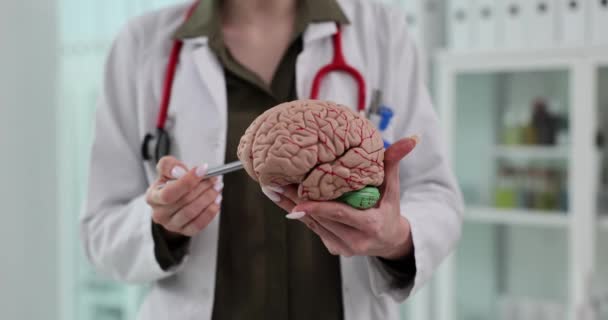 Врач Выполняет Человеческое Полушарие Мозга Модели Клинике Наставник Показывает Поврежденную — стоковое видео