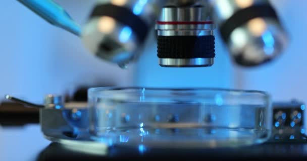 Scienziato Aggiunge Una Goccia Liquido Blu Alla Capsula Petri Usando — Video Stock