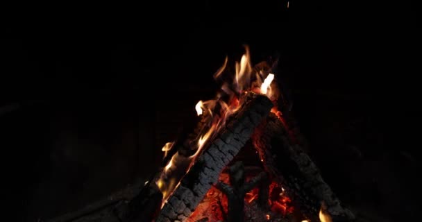 Plamen Ohně Vytváří Útulné Lákavé Prostředí Přírodě Hořící Dřevo Vyzařuje — Stock video