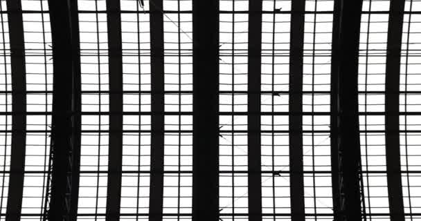 Ряд Экспансивных Окон Демонстрирует Архитектуру Офисного Здания Стена Кружевными Окнами — стоковое видео