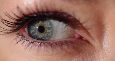 Hareket eden iris ve maskarayla uzun kirpikli bir kadın gözü. Parlak ışıkta mutlu kadın kirpiklerine hafif makyaj. Güzellik ve ihtişam