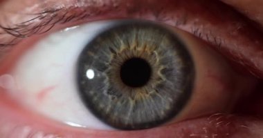 Kırmızıyla yanıp sönen gri göz, insan vücudunun bir parçası. Endişeli insan bakışları korku duygularını ifade eder makro. Etkileyici bir performans.