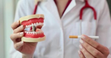 Uzman hekim sigarayı yapay çeneye yerleştirir. Uzman doktor, dişler üzerinde sigara içmenin zararlı etkilerini vurguluyor
