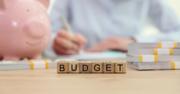 Προϋπολογισμός Του Word Φόντο Ροζ Κουμπαρά Και Στοίβες Από Χρήματα — Αρχείο Βίντεο