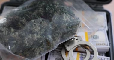 Büyük bir çanta dolusu marihuana ve 100 dolarlık banknotlara kelepçeler. Esrar yatırımcılar için cazip bir sektör