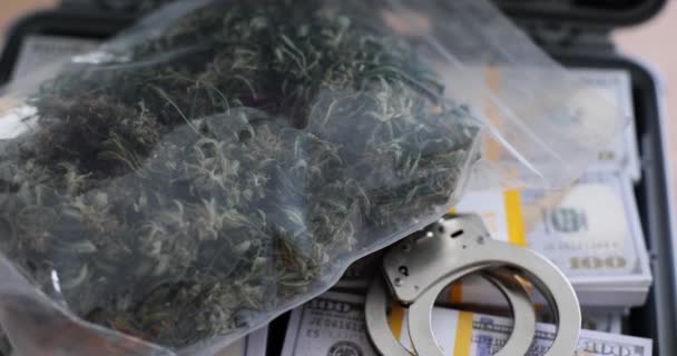 Closeup Handcuffs Large Bag Marijuana Stacks Hundred Dollar Bills Cannabis — Stock Video