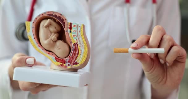 Hamilelik Jinekolog Sırasında Sigara Içmenin Tehlikeleri Hamilelik Risk Değerlendirmesi Sırasında — Stok video