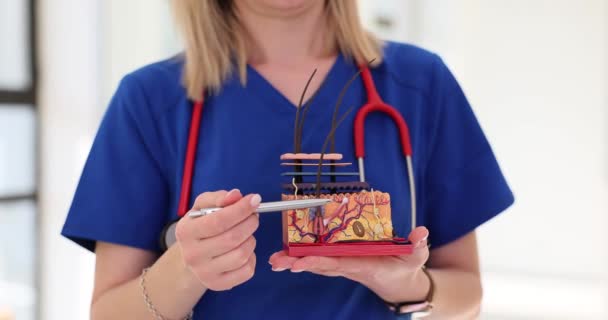 Cosmetologist Mostra Modelo Anatomia Pele Cuidados Com Pele Tratamento Doenças — Vídeo de Stock