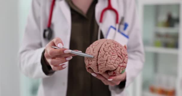 Médico Neurólogo Dando Una Visión Detallada Del Cerebro Humano Clínica — Vídeos de Stock