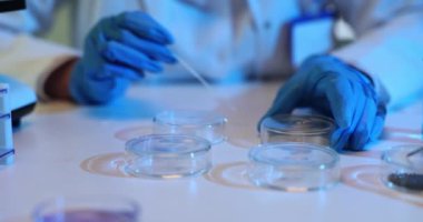 Bilimadamı deney tüpünden deney tüpünü pipetini kullanarak laboratuvar görüntülerinde Petri kabına aktarıyor. Eldivenli biyolog kimyagerin eli test çubuğu maddeyi Petri kabına aktarıyor.