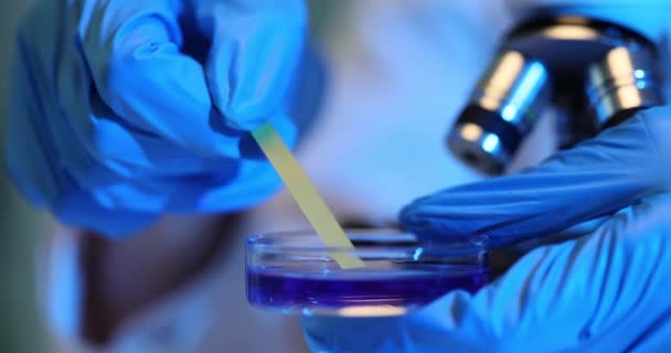 Vědec Modrých Rukavicích Vloží Testovací Pásku Petriho Misky Tekutinou Mikroskopem — Stock video