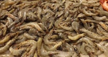 Markette buzda donmuş beyaz karides. Tezgahta taze deniz ürünleri var.