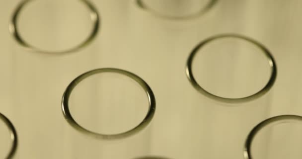 实验室密闭中的空试管 一套样品用的玻璃管 实验室密闭中的化工设备试管 Set Glass Tubes Samples — 图库视频影像