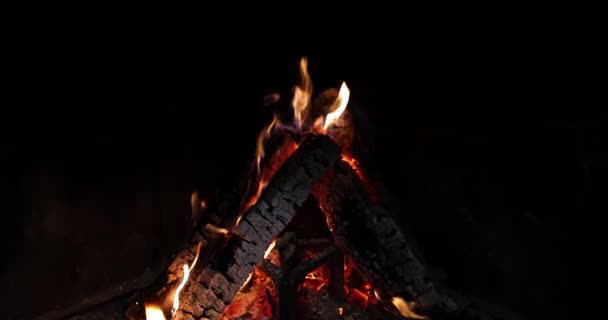 Pálení Ohně Táboráku Pro Vaření Lese Nebo Pro Zahřátí Hořící — Stock video