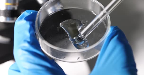 Científico Sostiene Petri Con Líquido Gel Tóxico Pipeta Laboratorio Investigación — Vídeos de Stock