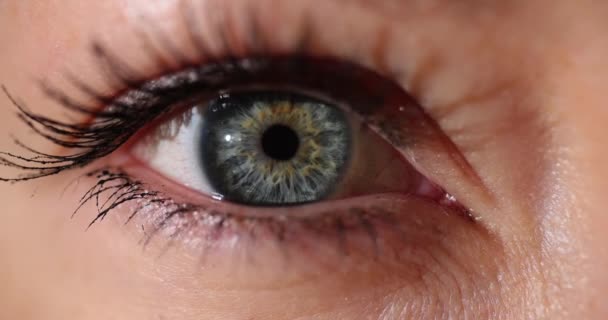 Hermoso Ojo Mujer Parpadea Cerca Pruebas Hipermetropía Miopía Visión — Vídeos de Stock