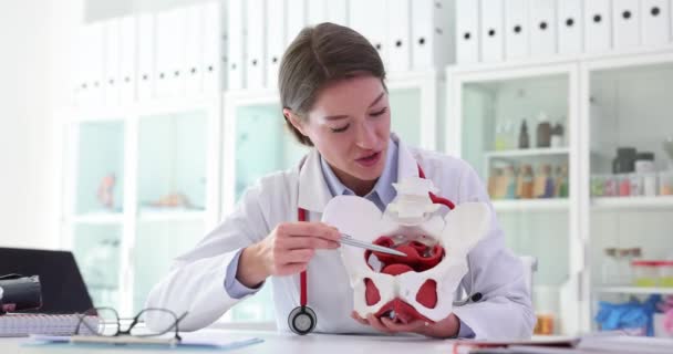Profesional Médico Explica Anatomía Región Pélvica Con Modelo Anatómico Diagnóstico — Vídeo de stock