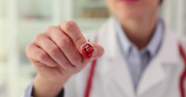 Кардиолог Красная Икона Сердца Руках Больнице Диагностика Лечение Заболеваний Сердца — стоковое видео