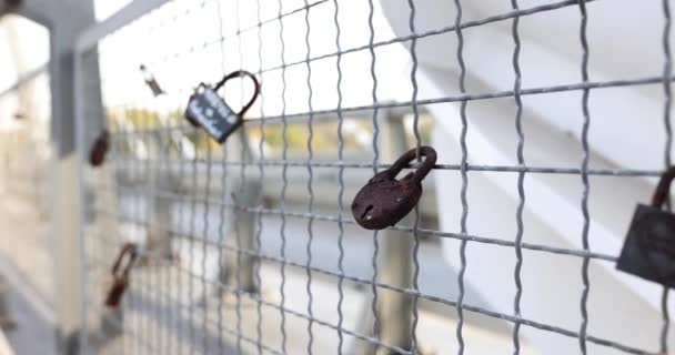 Κλειστές Κλειδαριές Εραστών Κρέμονται Στο Φράχτη Της Γέφυρας Έννοια Συμβόλου — Αρχείο Βίντεο